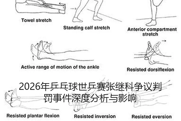 nian-ping-pang-qiu-shi-ping-sai-zhang-ji-ke-zheng-yi-pan-fa-shi-jian-shen-du-fen-xi-yu-ying-xiang-2-879.jpg